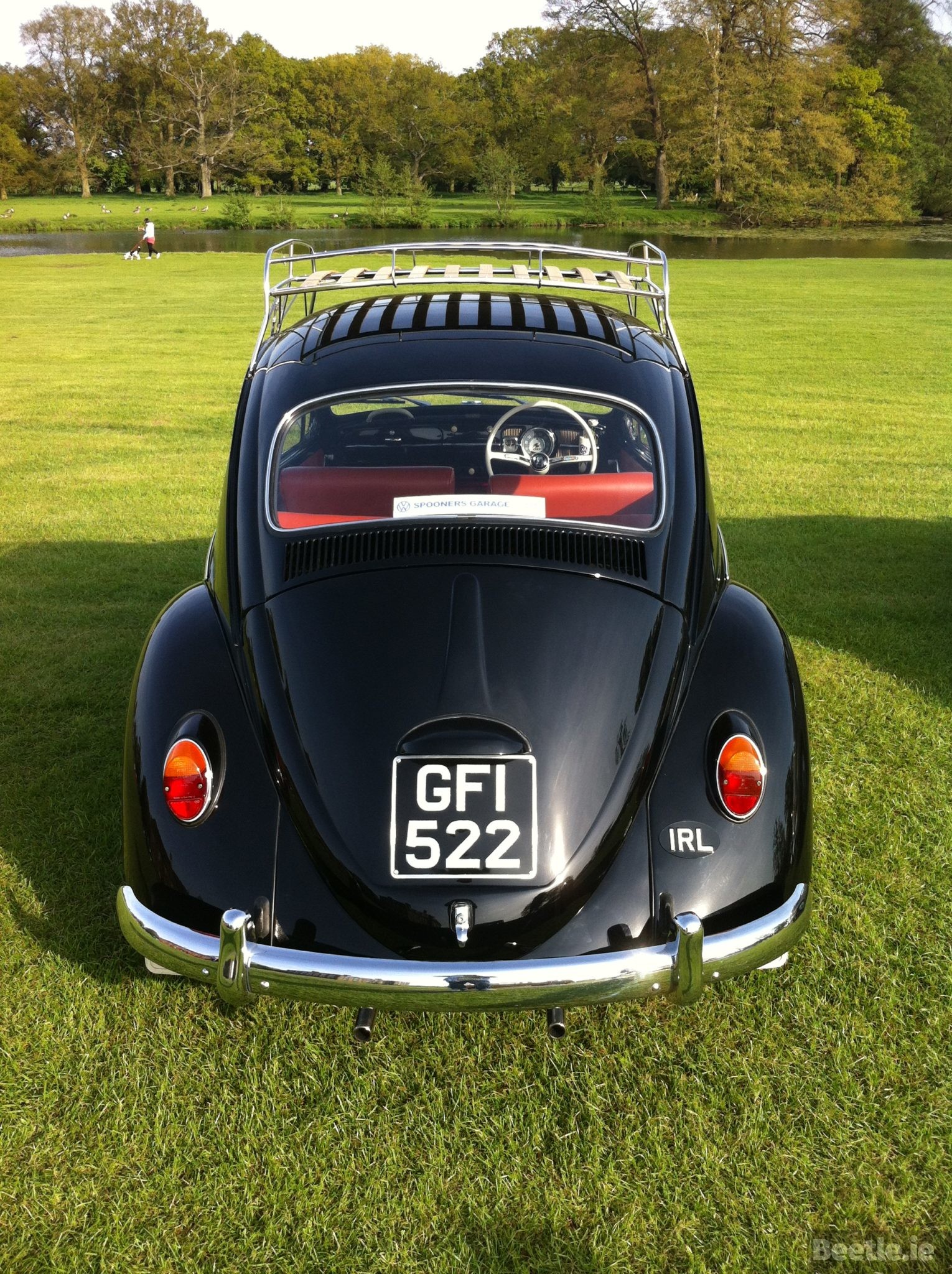gfi-522-beetle-ie