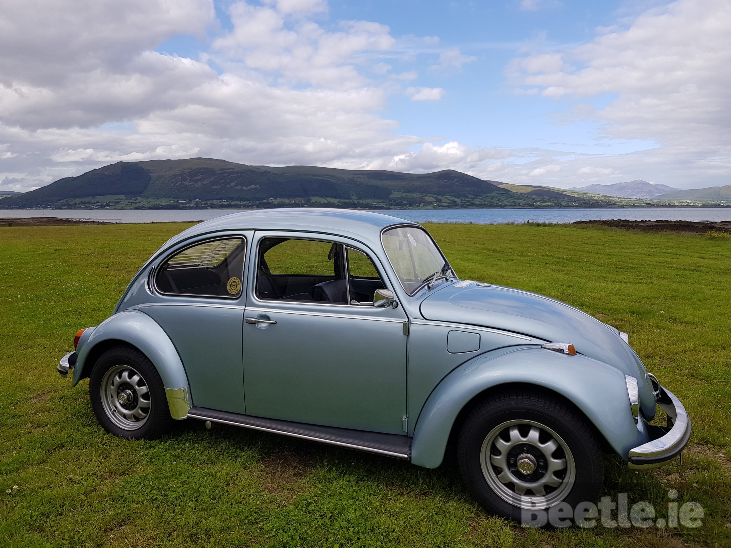 ZV 50636 | Beetle.ie ZV 50636 | Beetle.ie