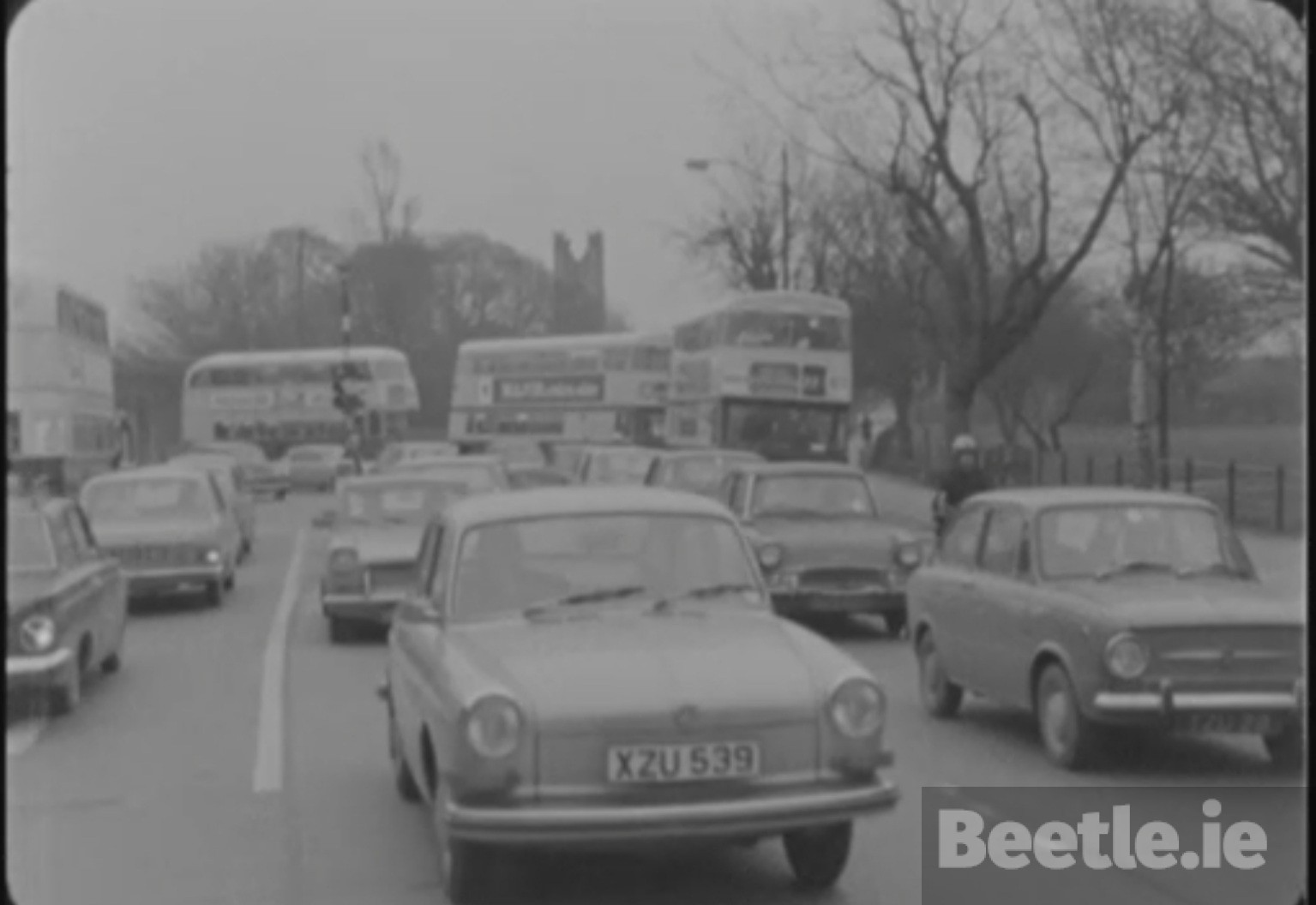 Xzu 539 beetle ie