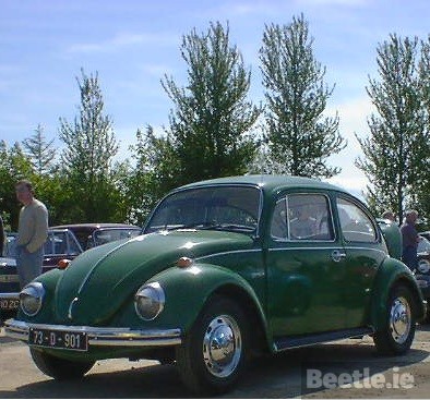 VW Volkswagen Elm Green - L60D