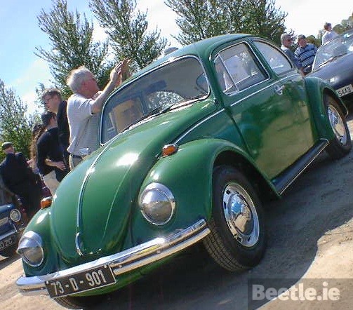 VW Volkswagen Elm Green - L60D