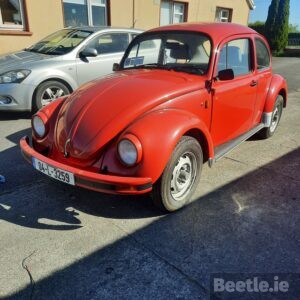 04 L 2359 Mexi Beetle