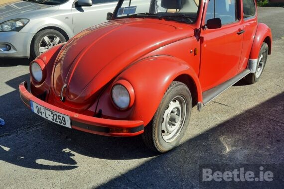 04 L 2359 Mexi Beetle